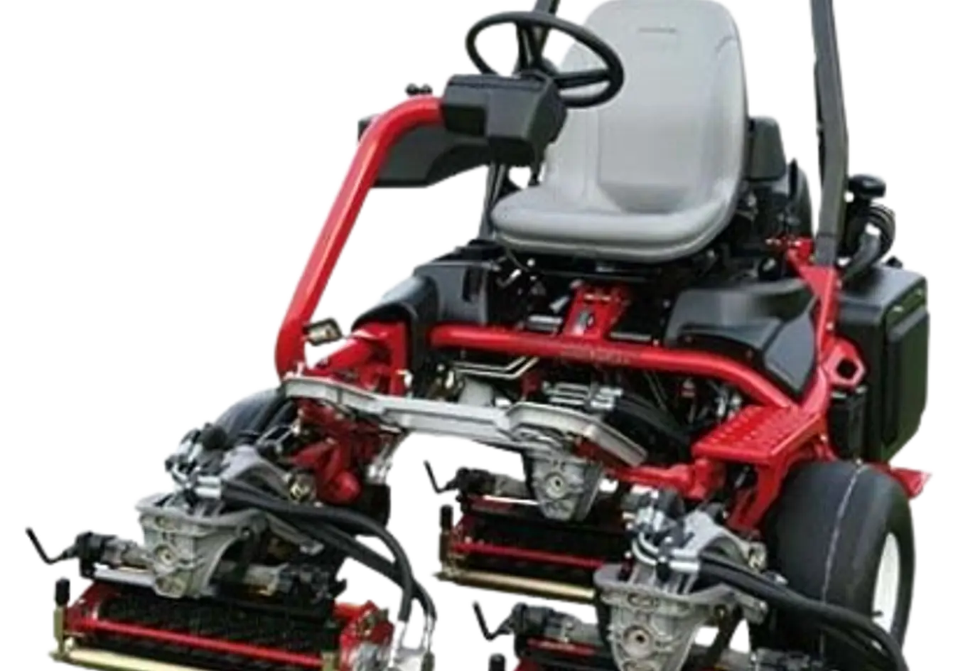 Thatch-Away Fine-Grass