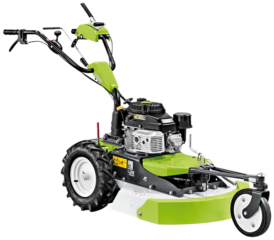 nobg-037bcd8d9db94fddb83520b1a906caf1.png